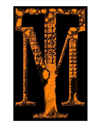 Modern Touch Solutions