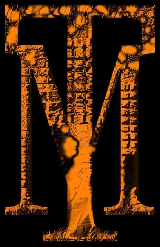 Modern Touch Solutions logo