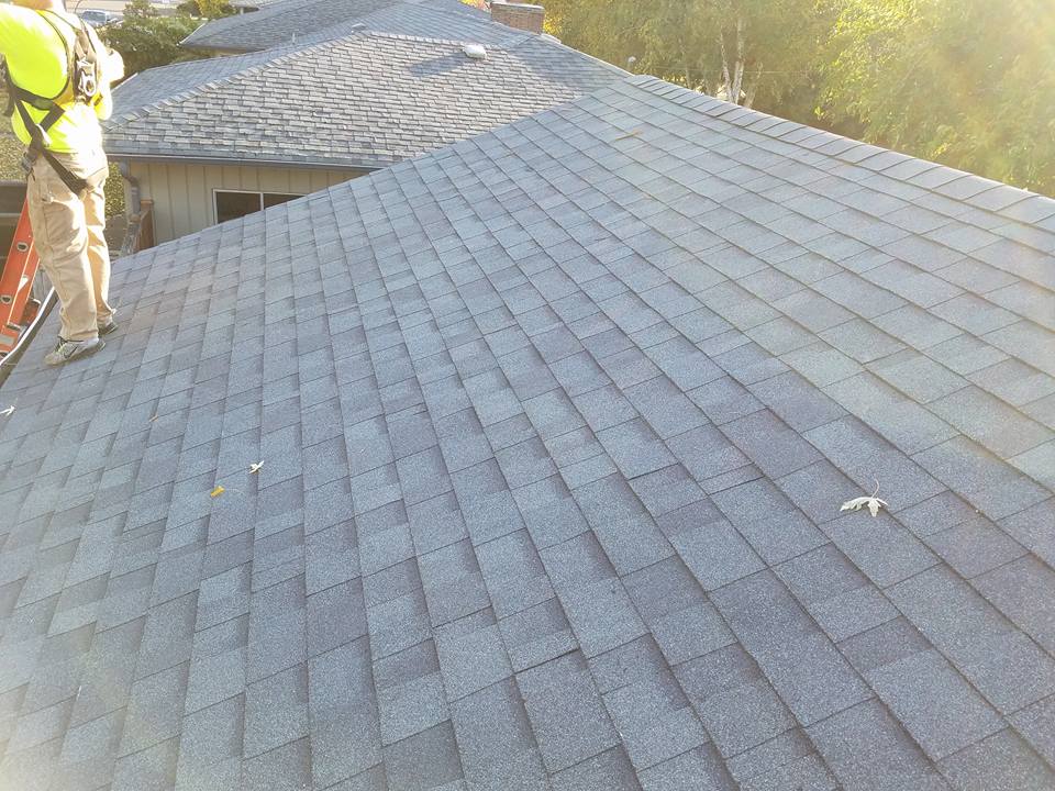 Roofing service