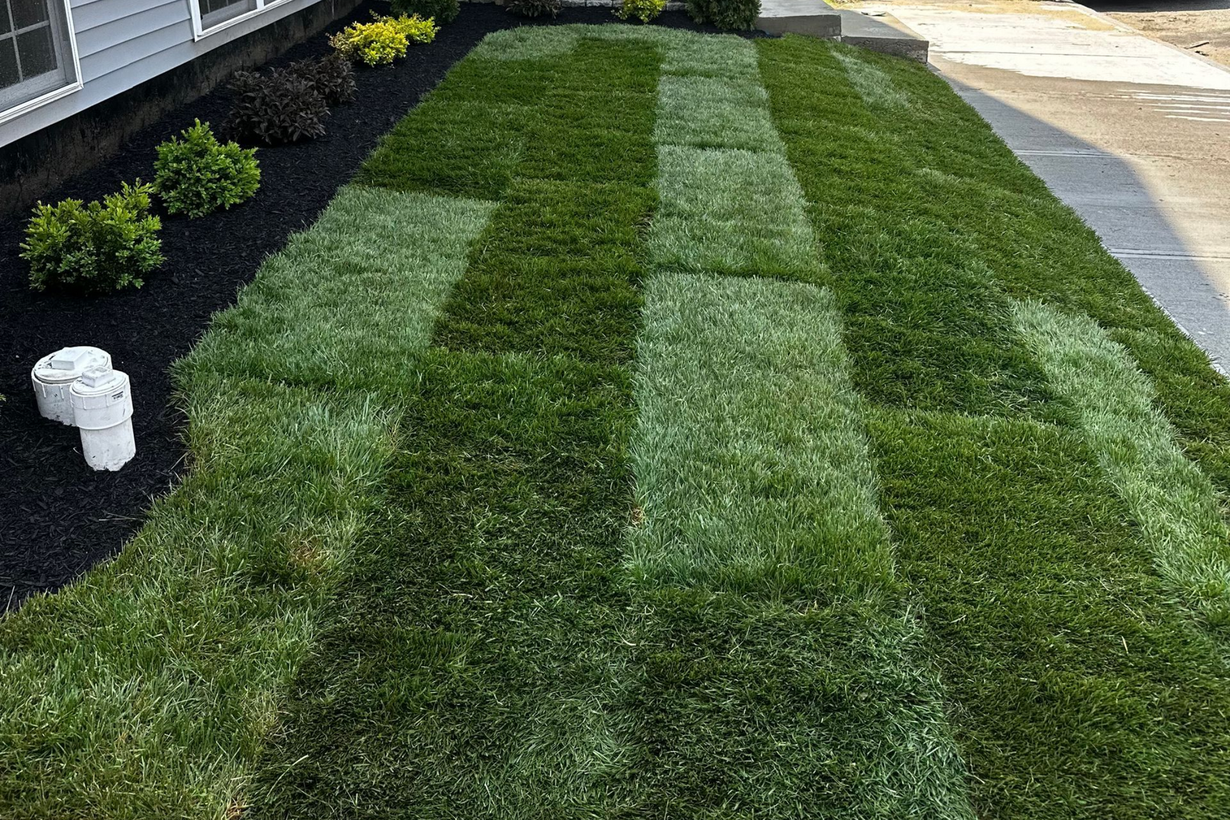 Newly laid patches of green grass sod arranged in a grid pattern next to a house with black mulch and shrubs.