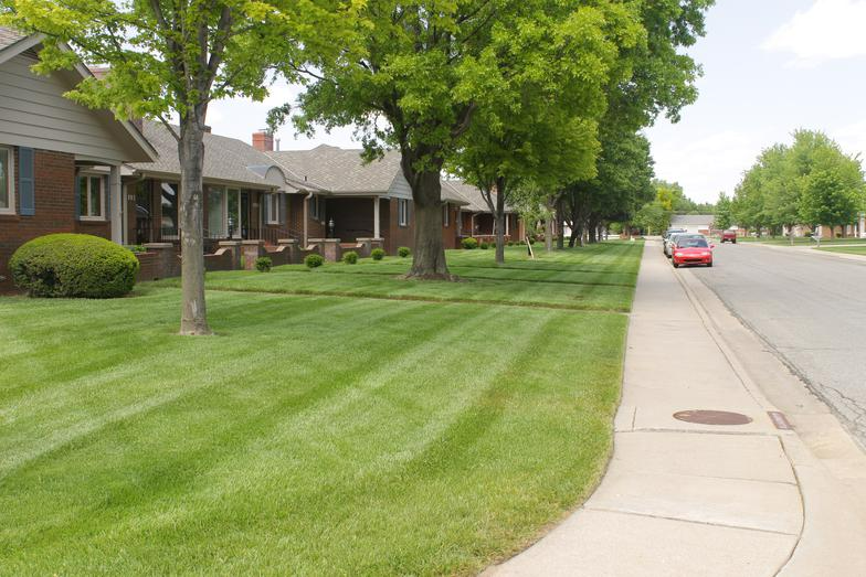 A suburban street with neatly striped green lawns, trees, and houses. A red car drives down the road.