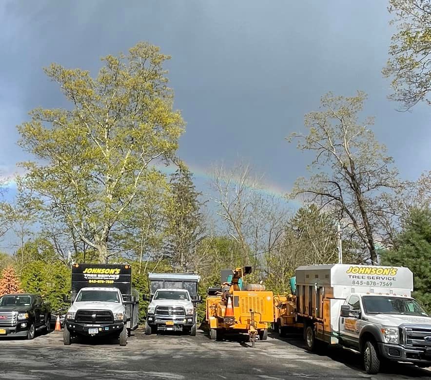 Line of utility trucks and equipment parked under trees on a cloudy day