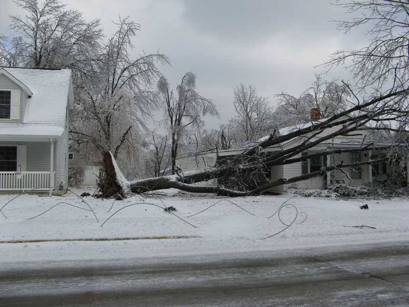 Snow-covered street with fallen tree blocking two houses after a storm