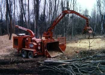 Two orange forestry machines clearing fallen trees in a bare wooded area