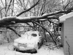 Snow-covered car trapped under fallen tree beside a house after a storm