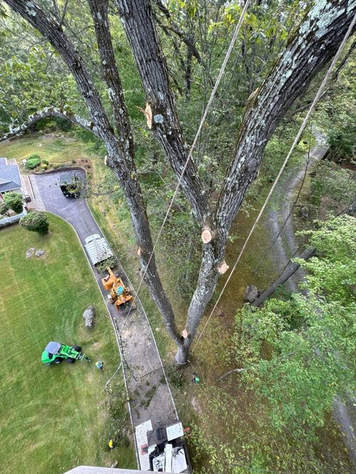 Johnson's Tree Service Inc