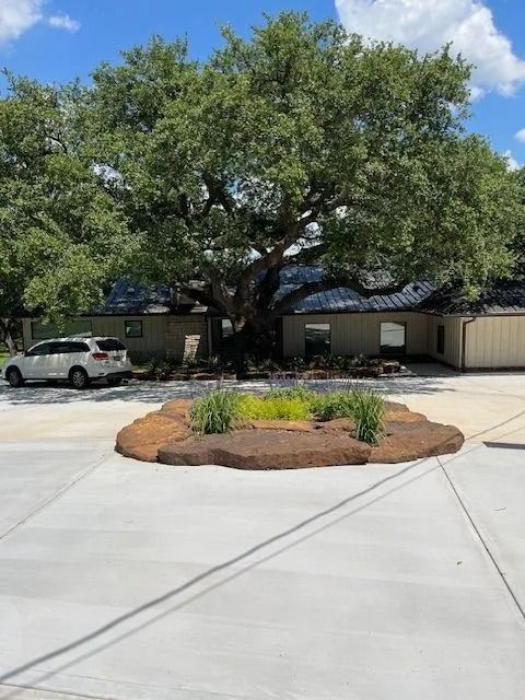 Large tree in front of a tan building with a small landscaped garden in a concrete driveway. A white car is parked nearby.