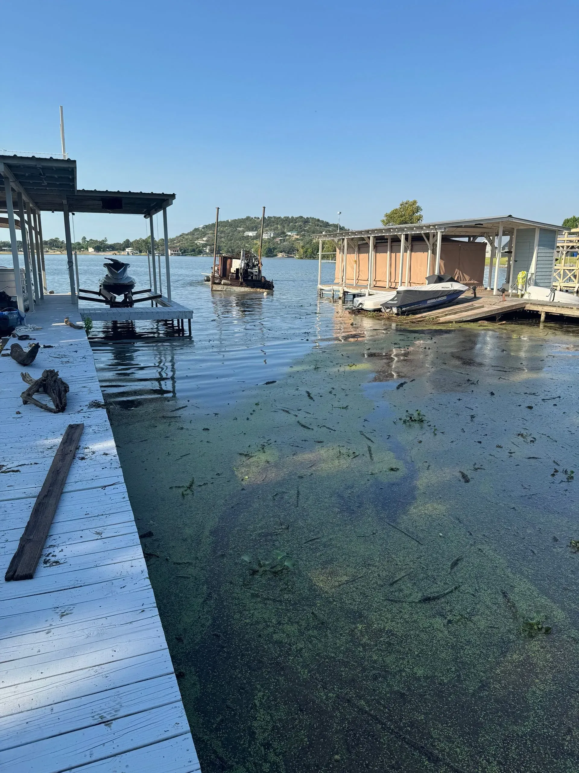 Dock on a lake, partially covered in green algae, with small structures and boats on the water under a clear blue sky.