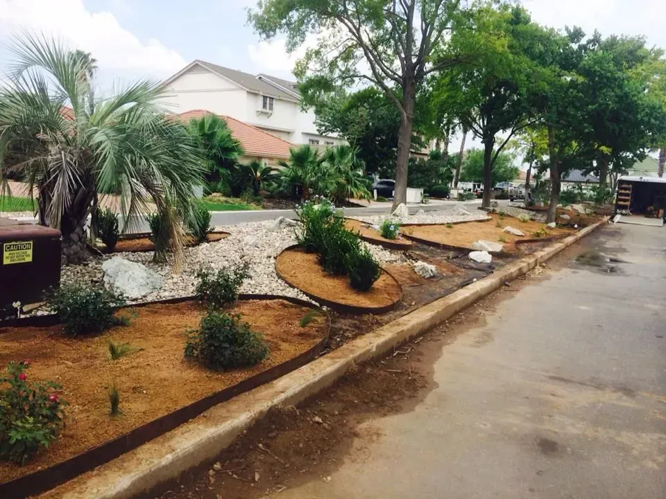 Landscaped area with trees, plants, rocks, and brown mulch bordering a street.