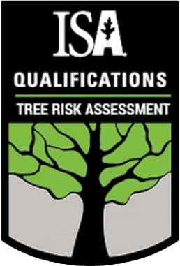 International Society of Arboriculture Qualifications Tree Risk Assessment