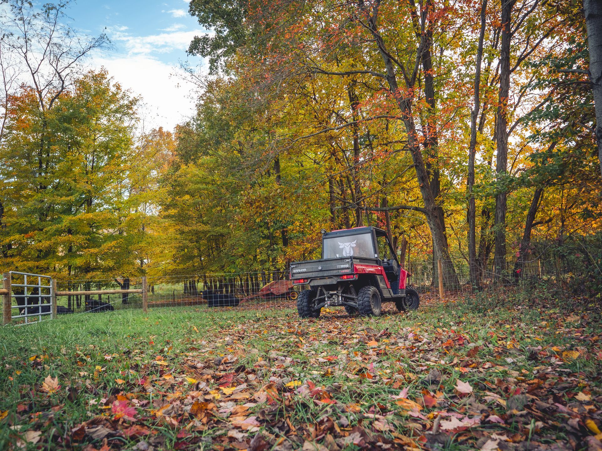 A red atv is parked in a field covered in leaves.