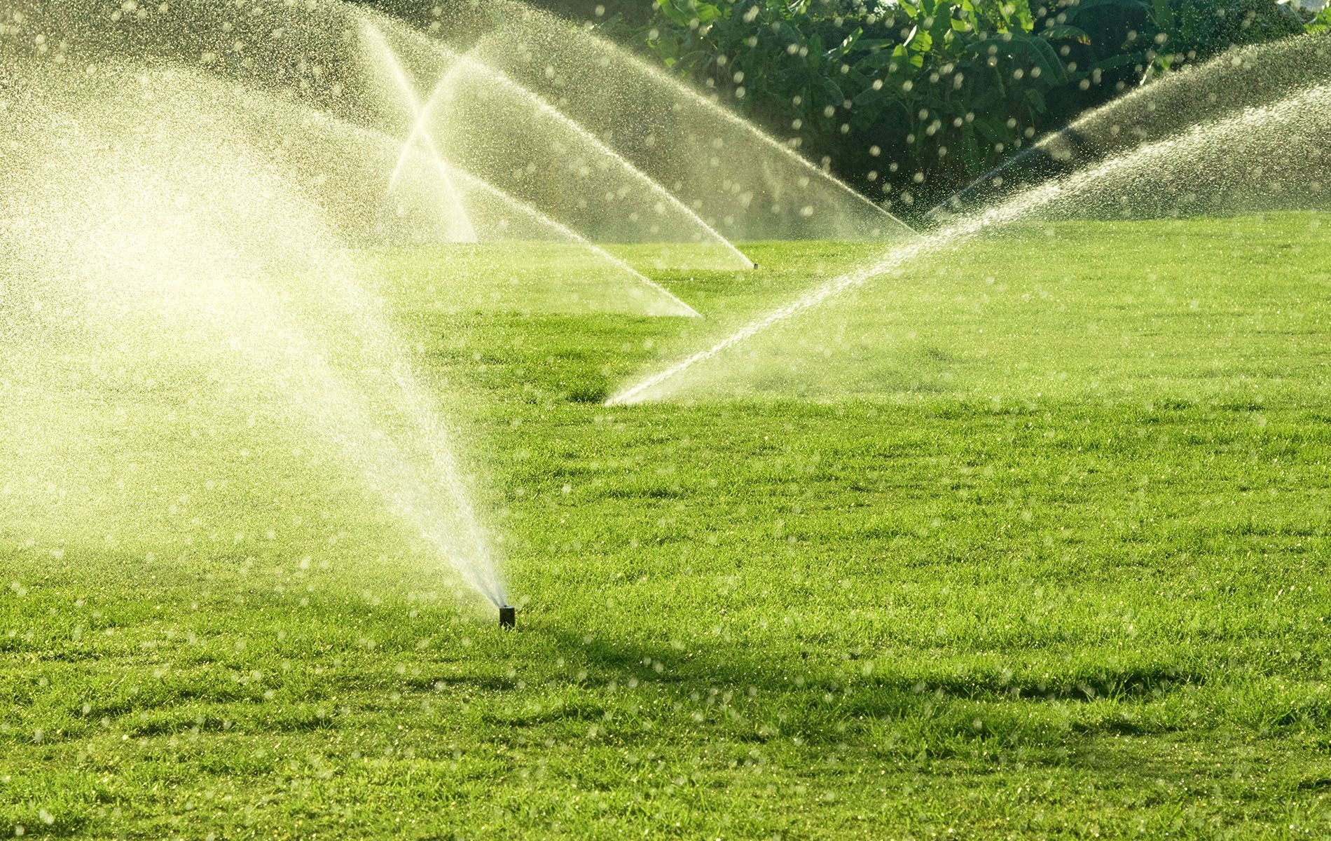 A row of sprinklers spraying water on a lush green field.