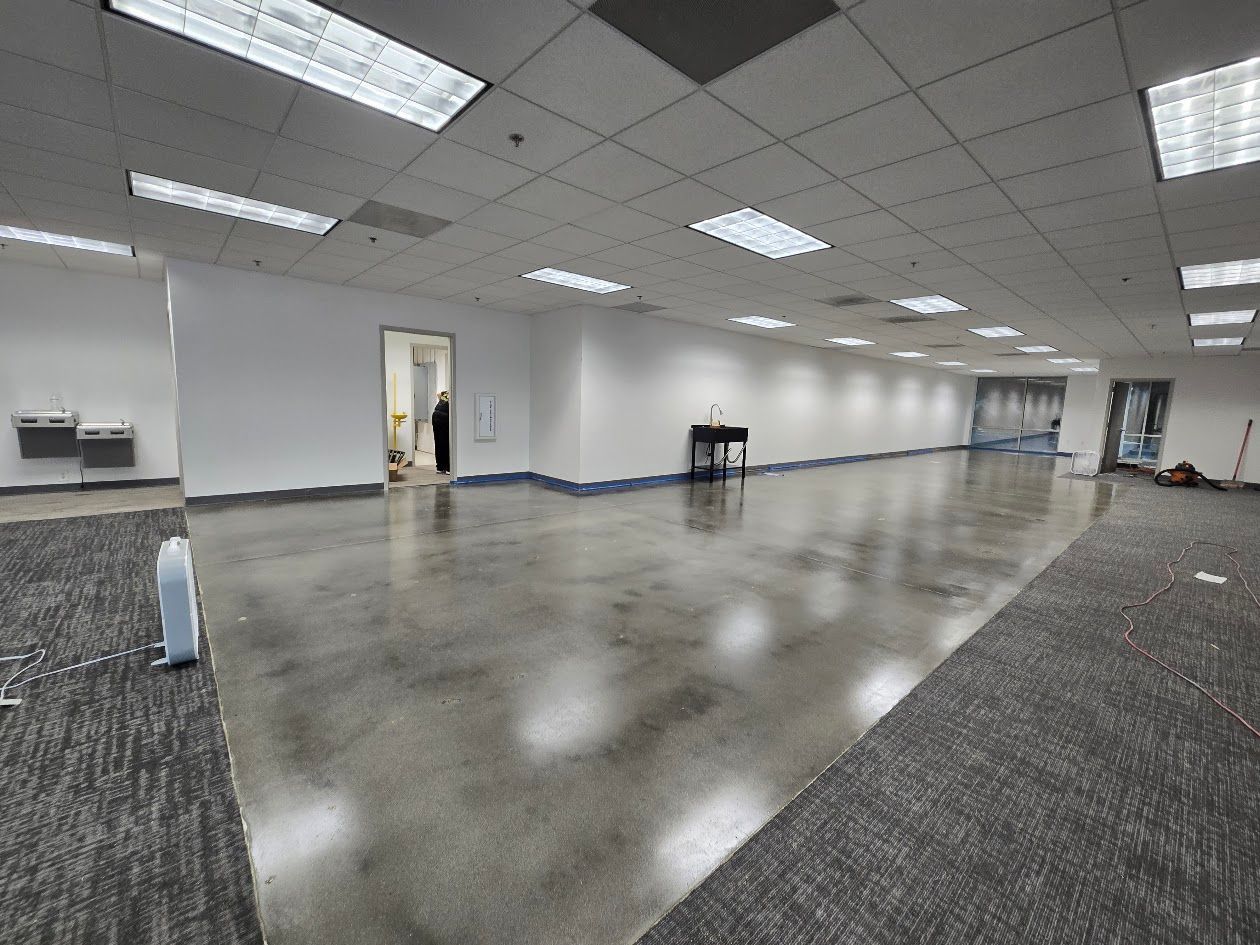 Empty office space with polished concrete floor, white walls, and carpet edges.