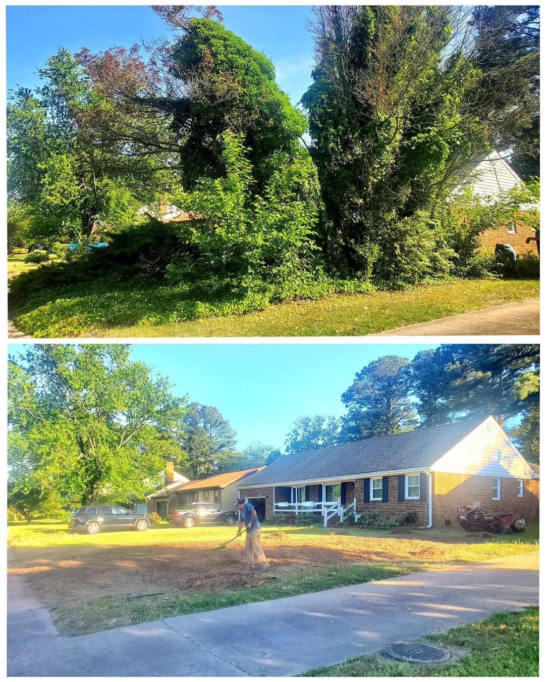 A before and after picture of a house with trees in front of it.