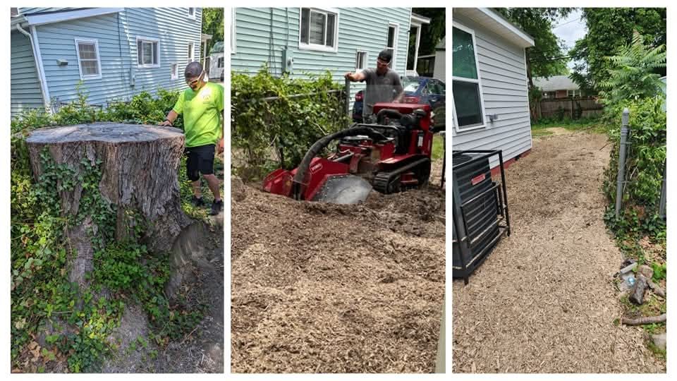 A collage of three pictures of a tree stump being removed.