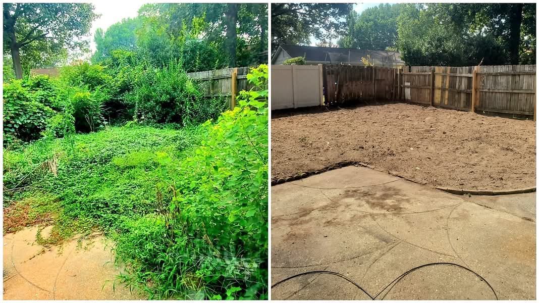There is a before and after picture of a backyard.