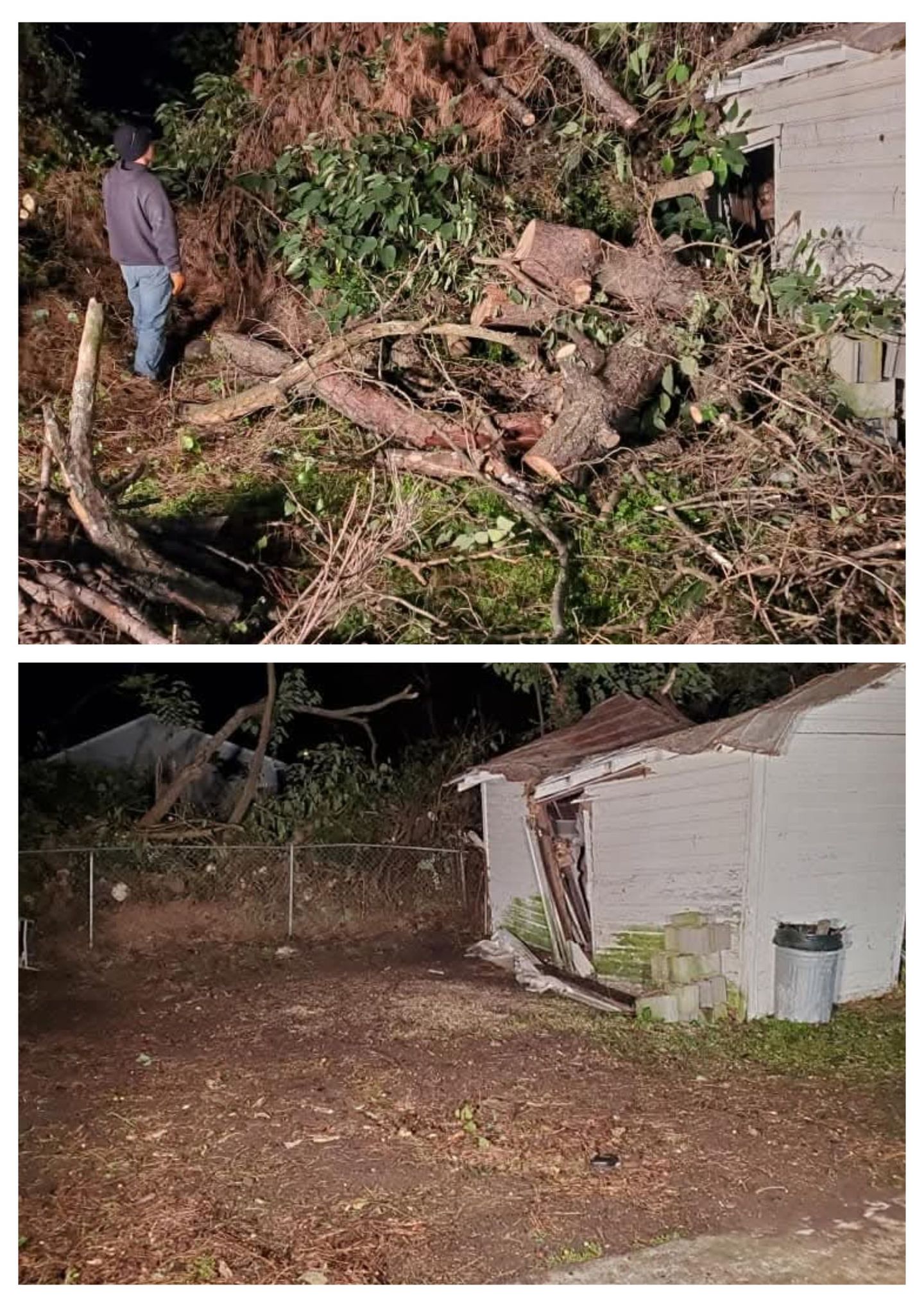 A man is standing next to a pile of branches next to a house.