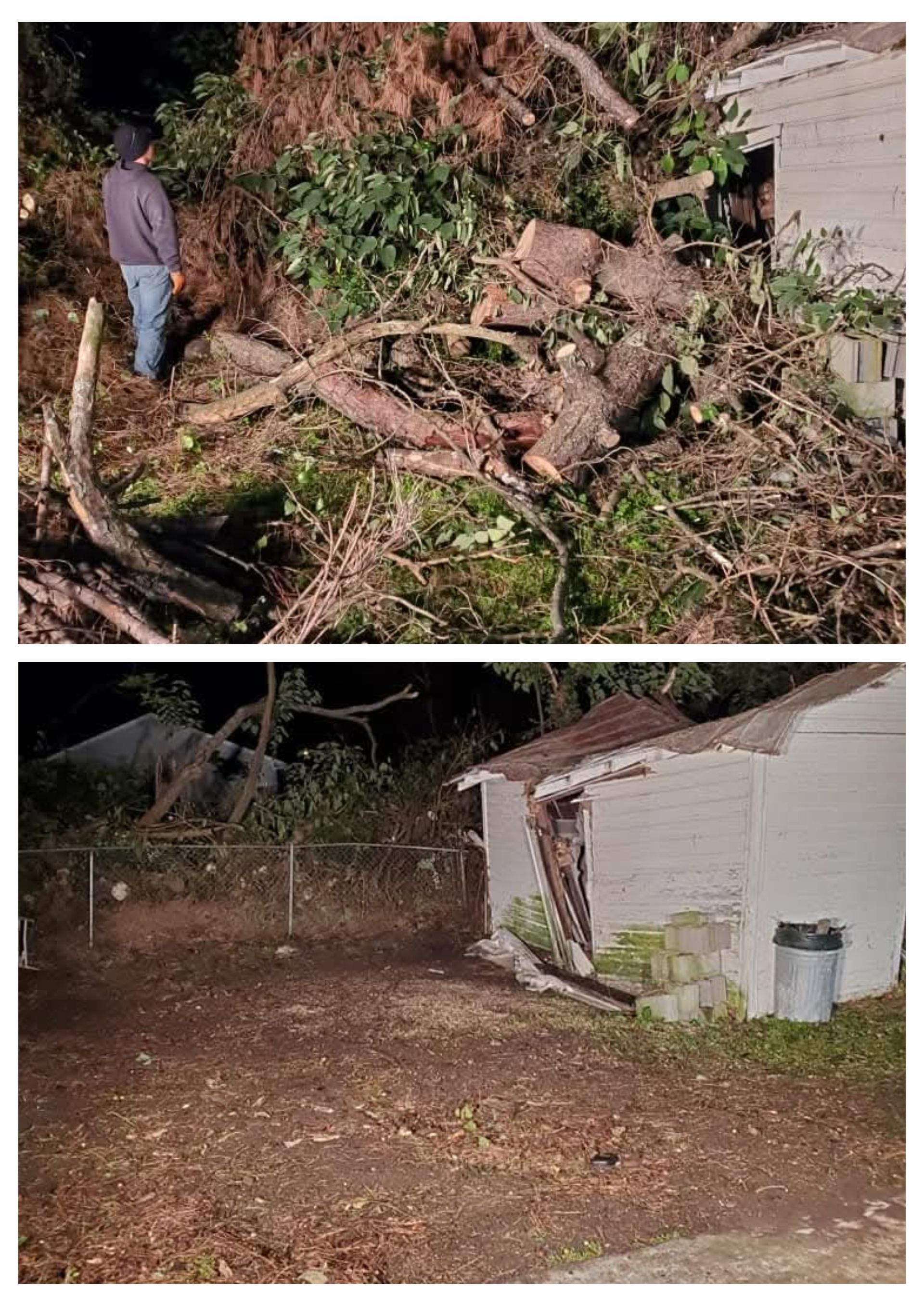 A man is standing next to a pile of branches next to a house.
