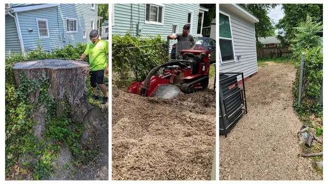 A collage of three pictures of a tree stump being removed.