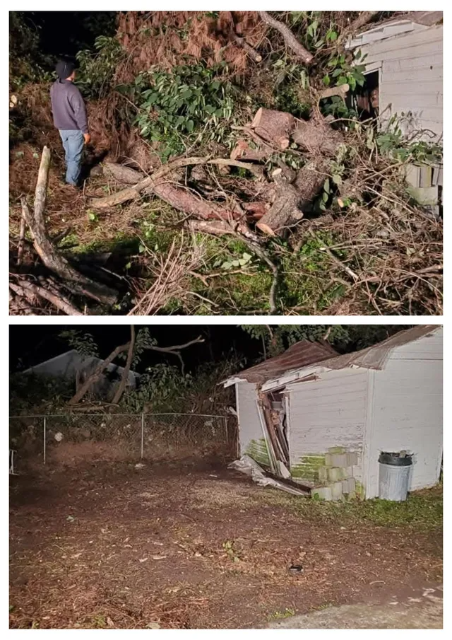 A man is standing next to a pile of branches next to a house.