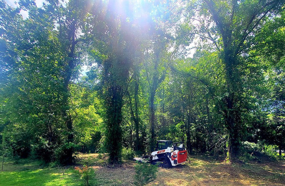 A jeep is parked in the middle of a forest.