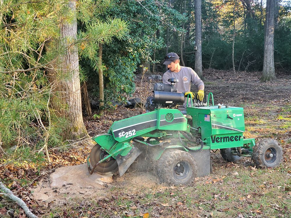 A man is using a stump grinder to remove a tree stump.