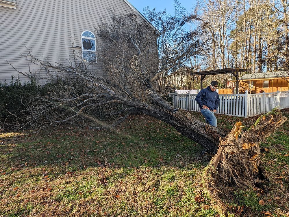A man is standing next to a fallen tree in front of a house.