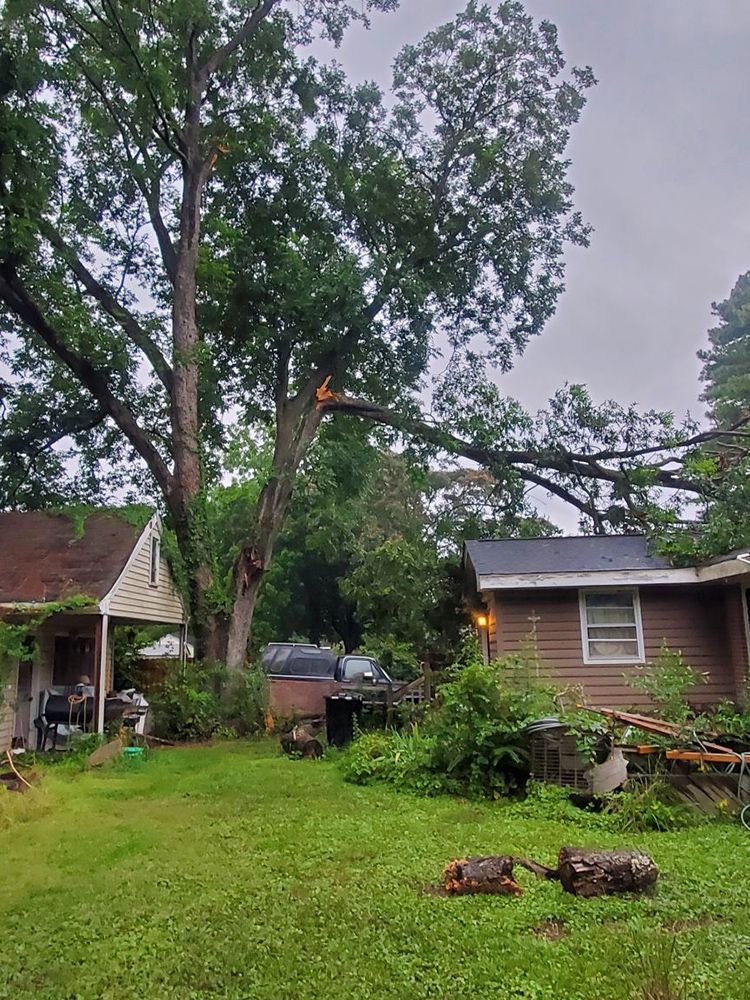 A house with a fallen tree in front of it.