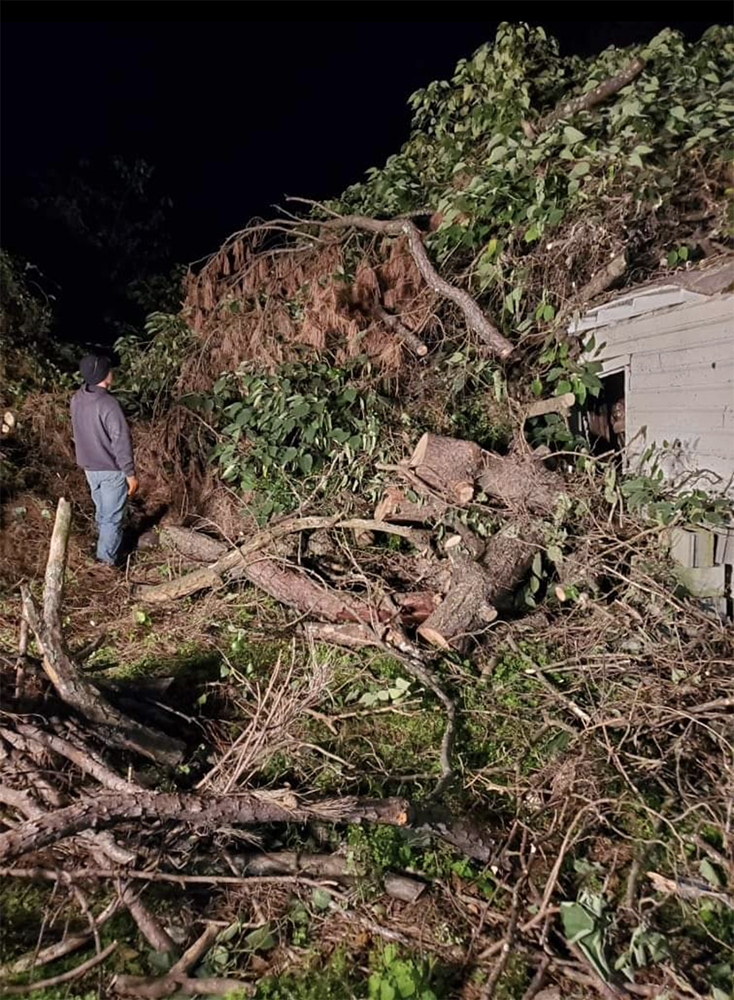 A man is standing in front of a pile of fallen trees.