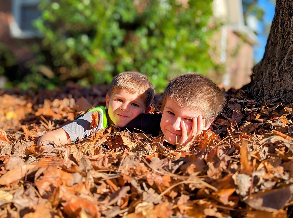 Two young boys are laying in a pile of leaves under a tree.