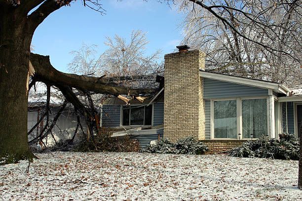 Fallen tree on the roof of a house.