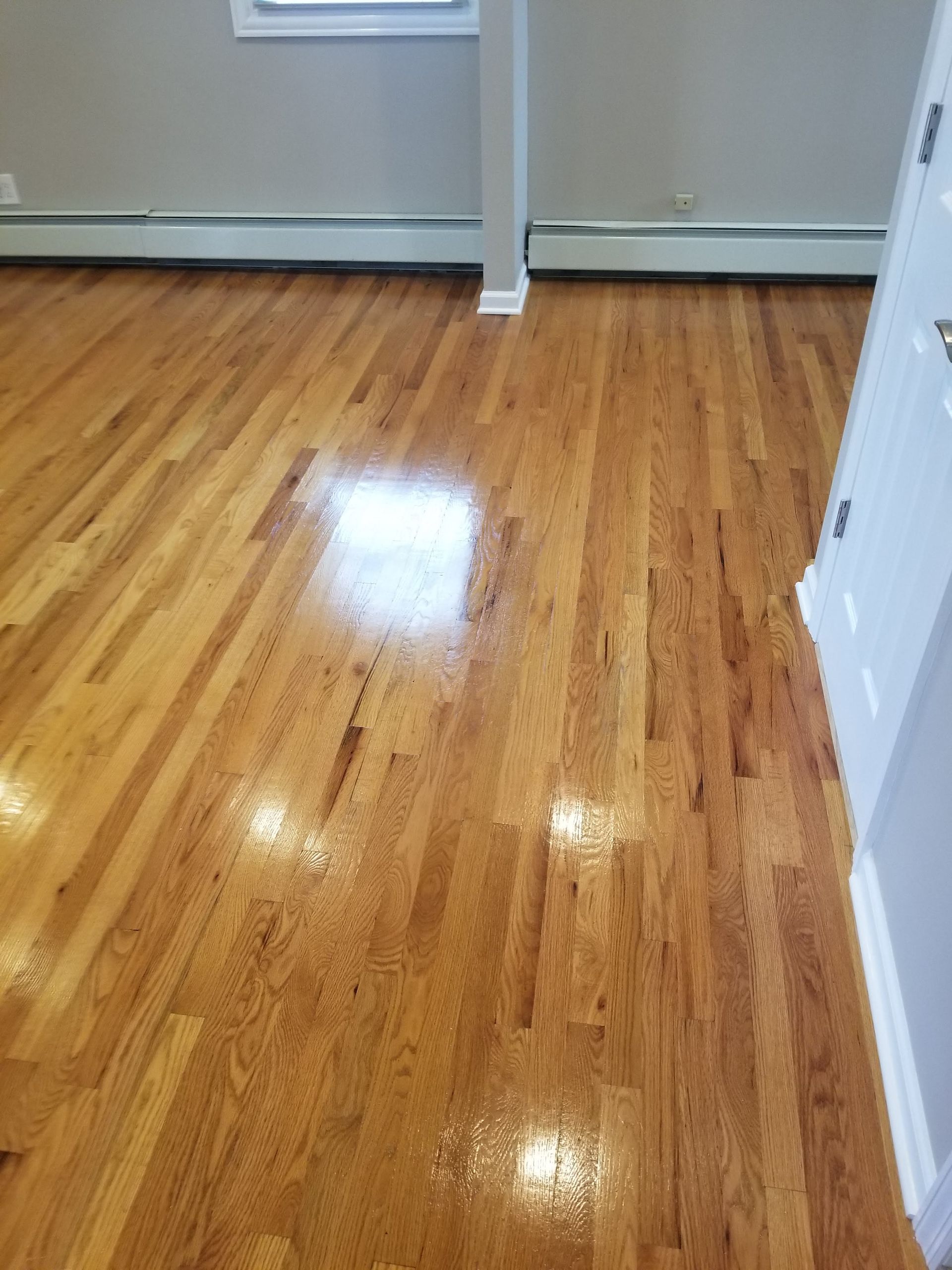 Empty room with shiny hardwood floor and white walls near a doorway.