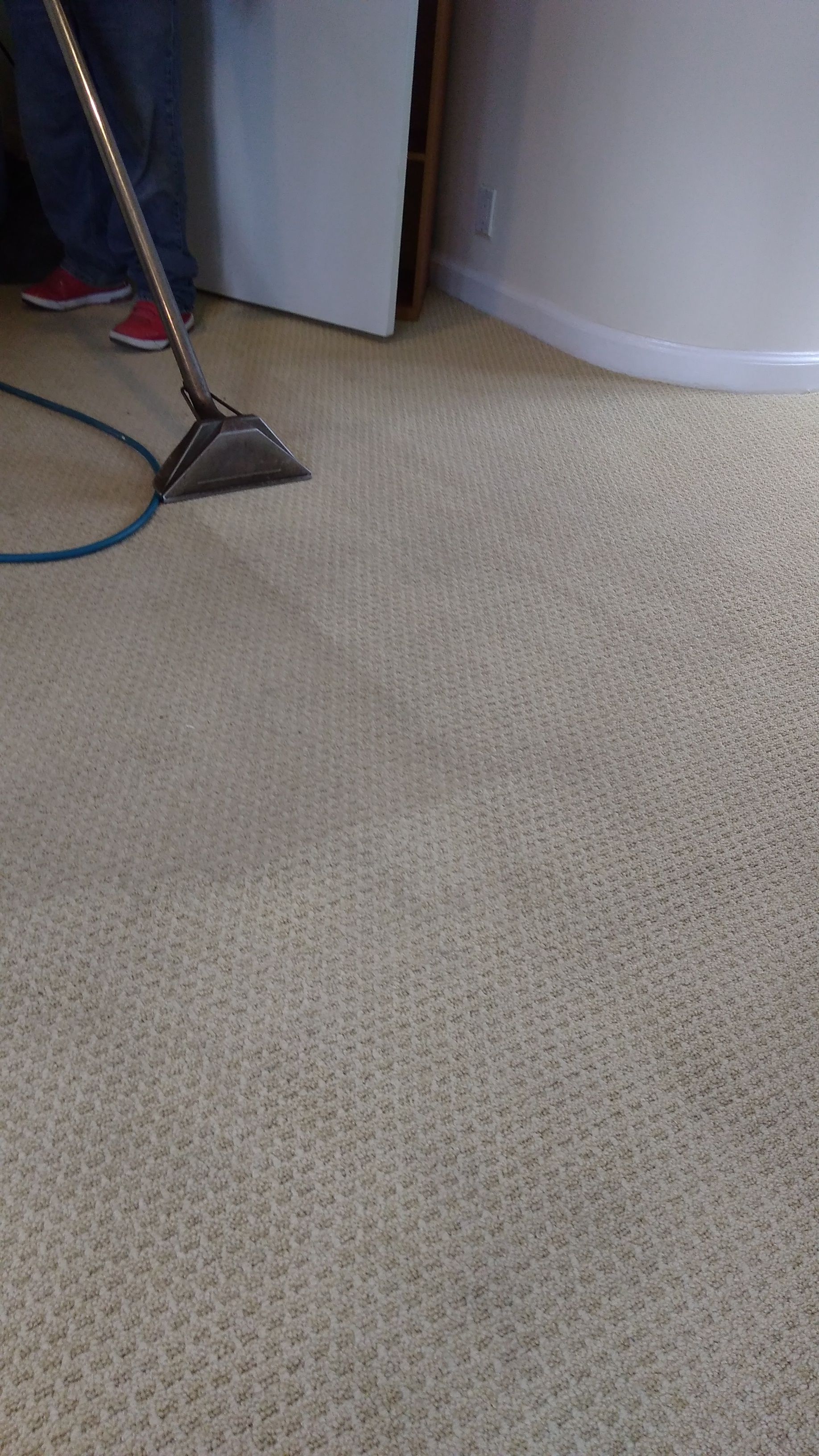 Carpeted floor beside a white wall and door, with a corded vacuum handle at left.