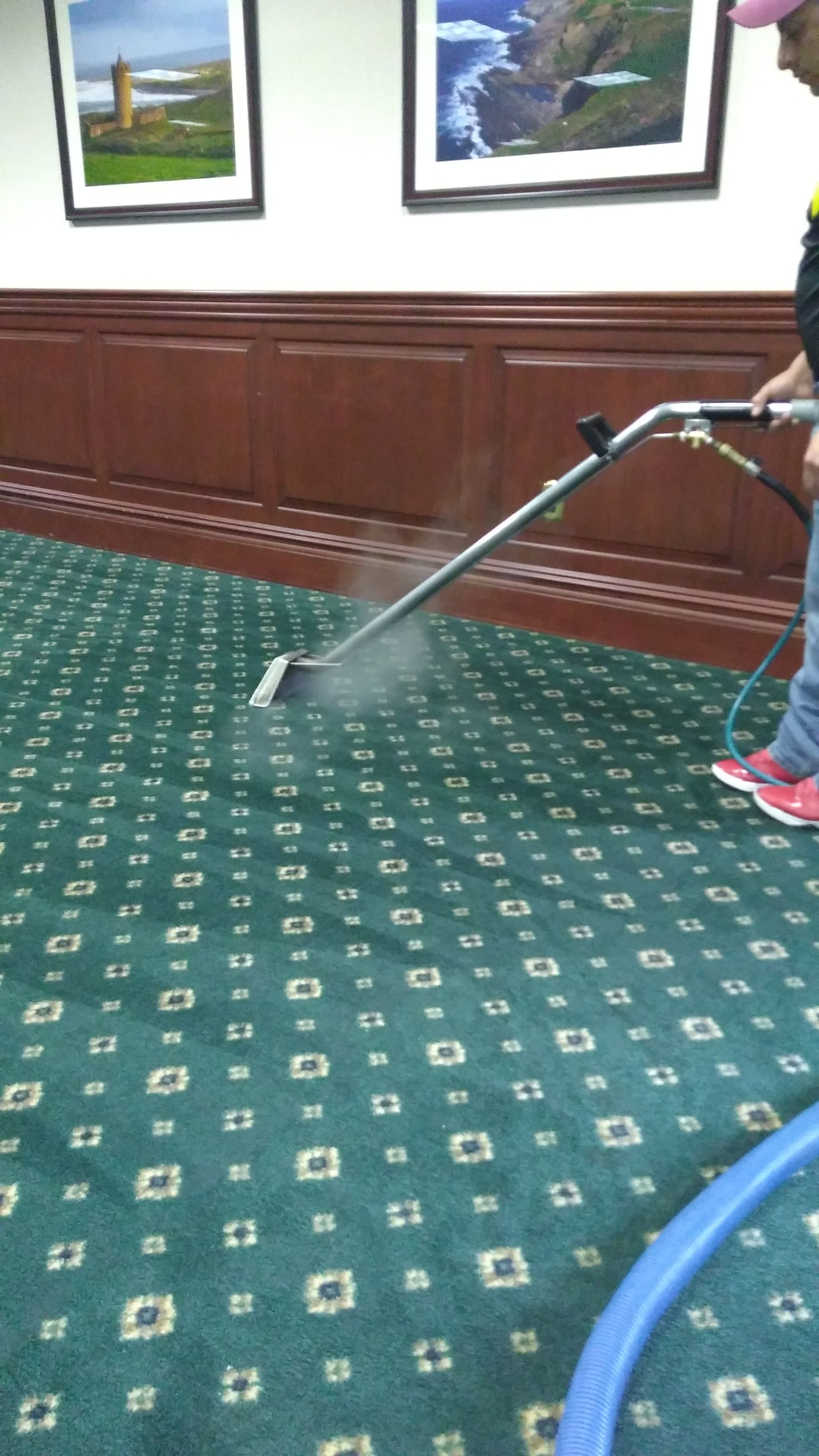 Person pressure-washing a green carpet in a hallway with framed pictures on the wall