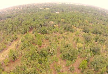 Aerial view of a dense green forest with patches of dry, brown vegetation and hazy horizon.