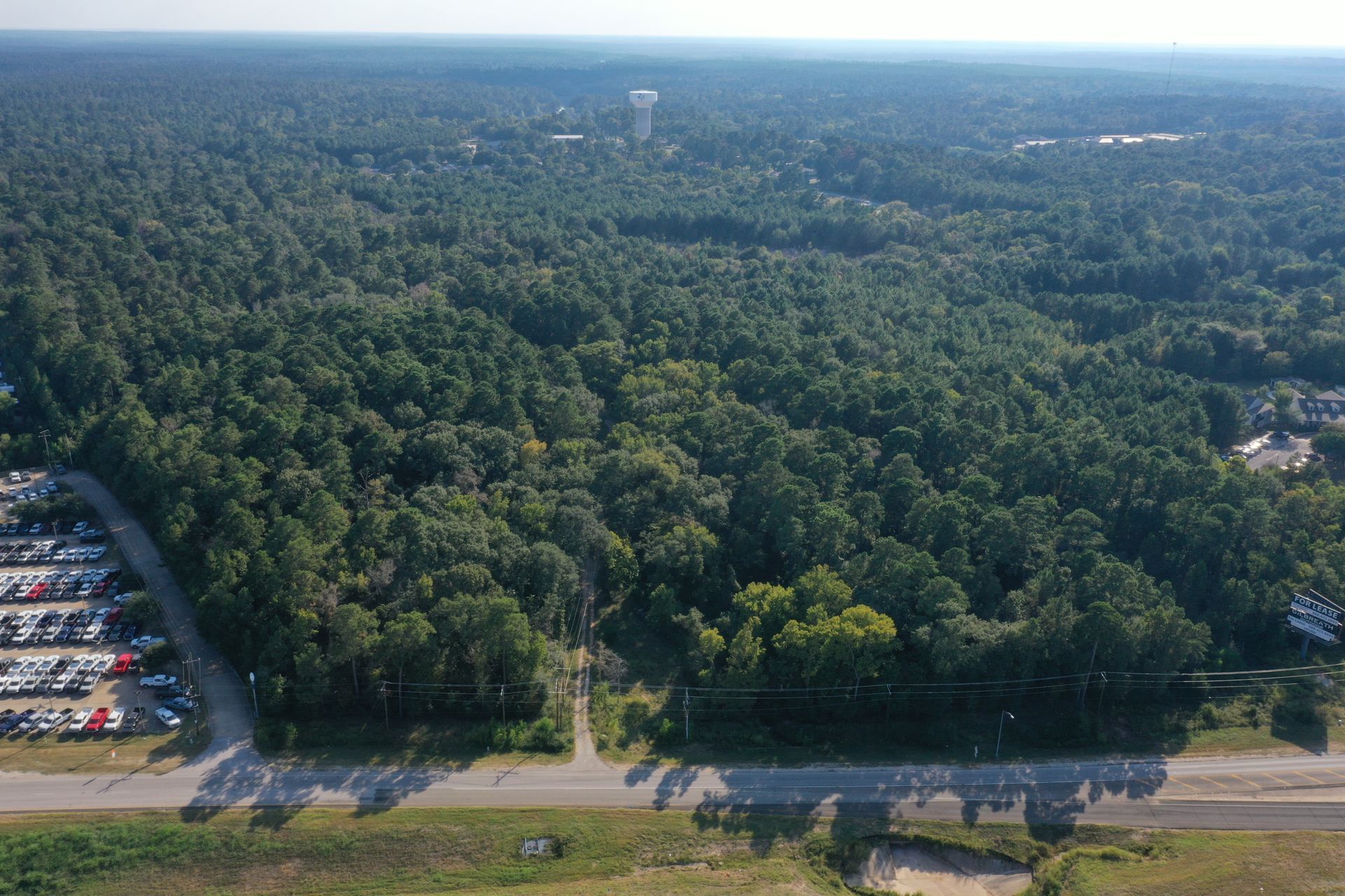 Aerial view of a dense green forest beside a road and parking lot under clear sky