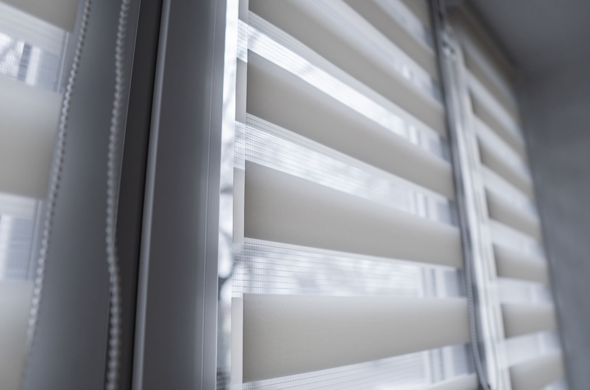 A close up of a pair of zebra blinds on a window.