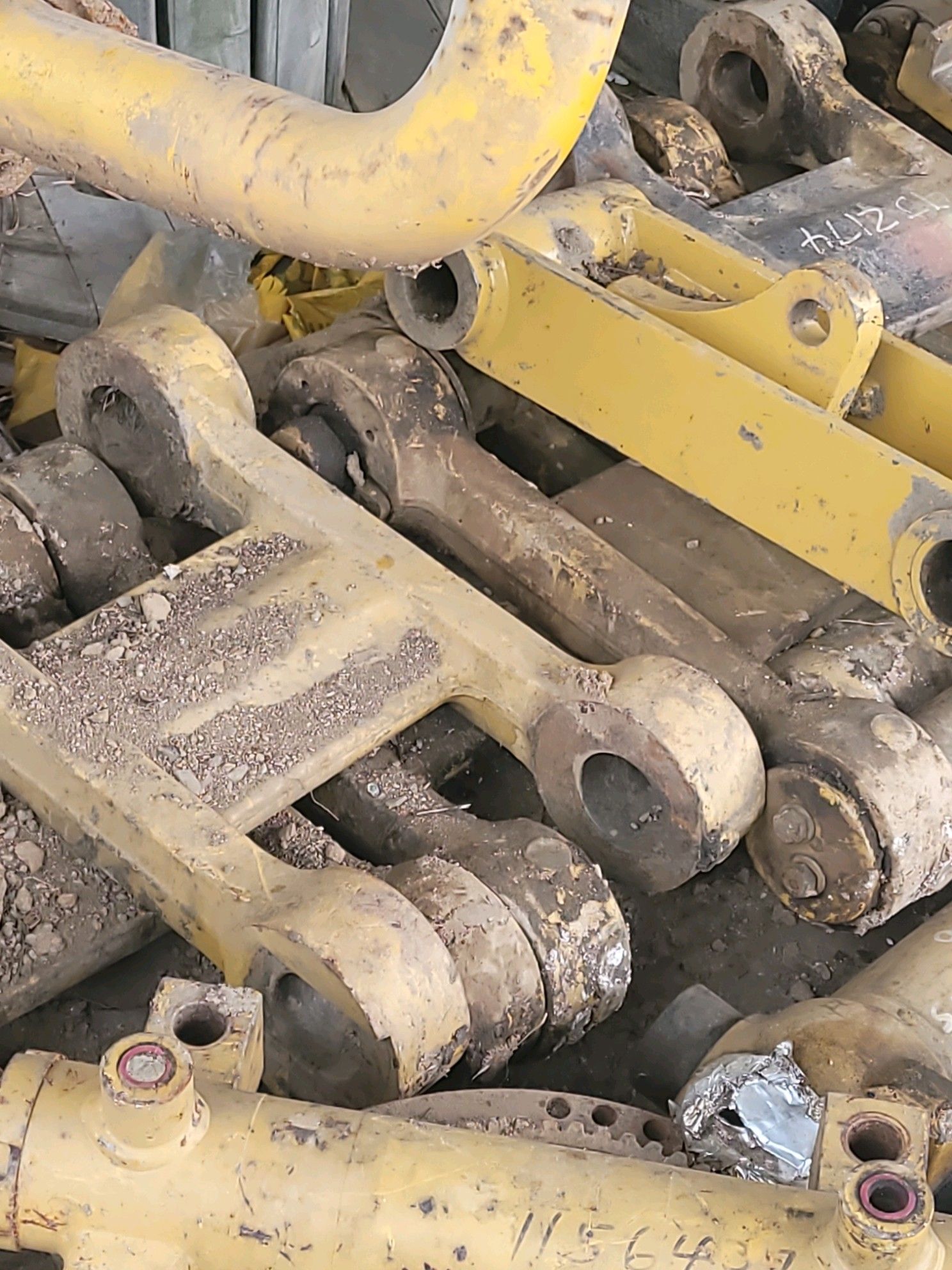 All types of dog bones