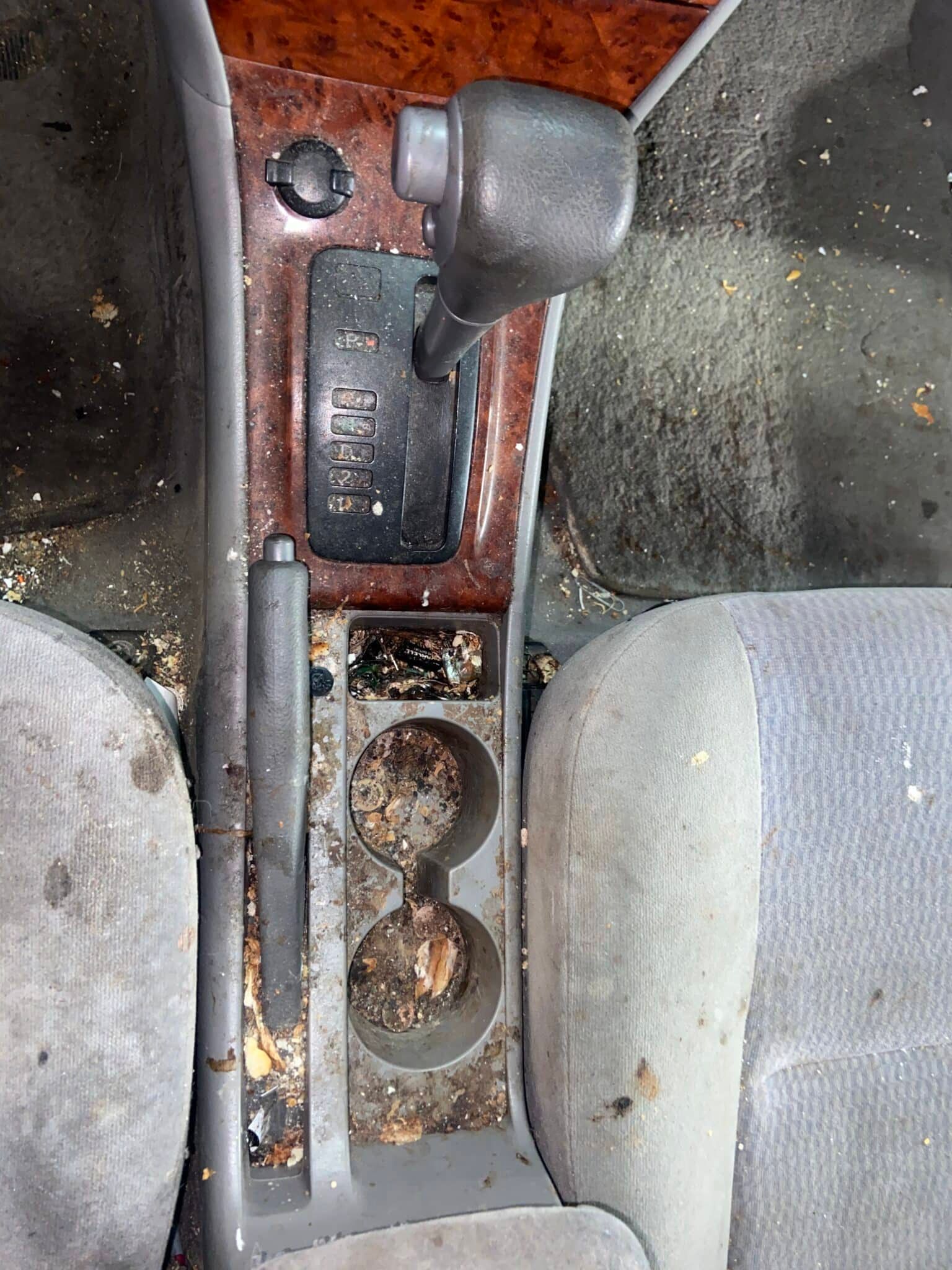 Car console with two cup holders, gear shift, and gray seats, showing dirt and debris in the storage area