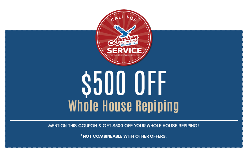 whole house repiping coupon