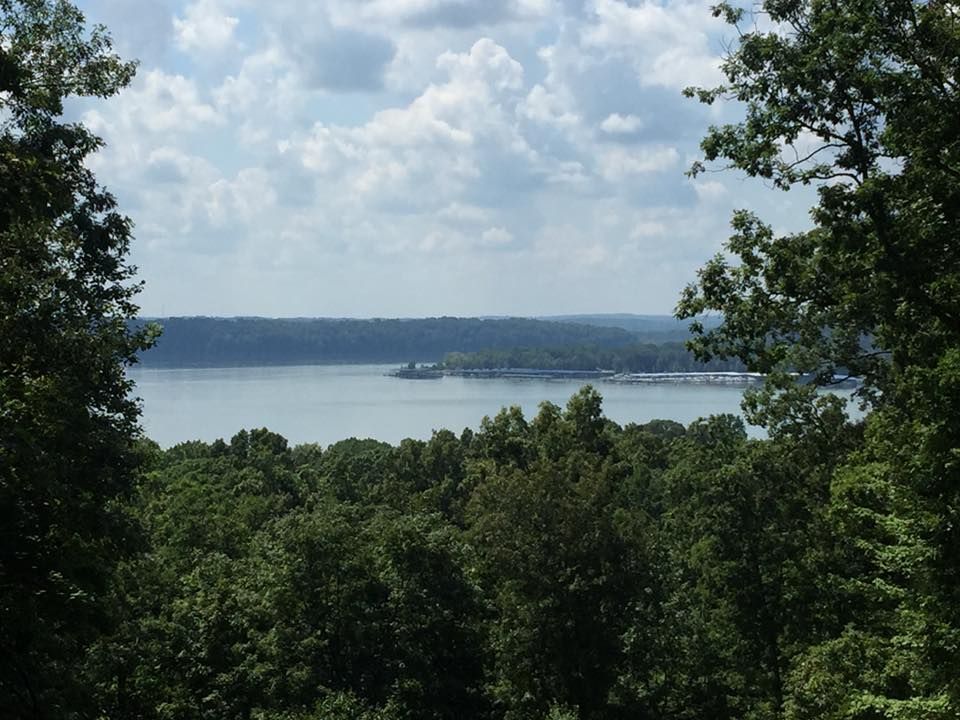 A view of a lake surrounded by trees on a cloudy day