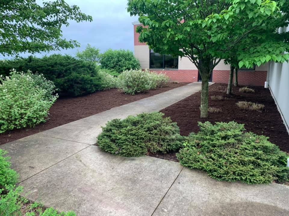 A concrete walkway surrounded by trees and bushes in front of a building.