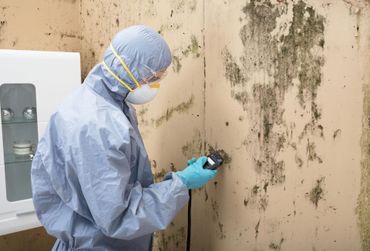 Mold inspection