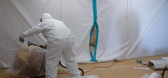 Mold remediation