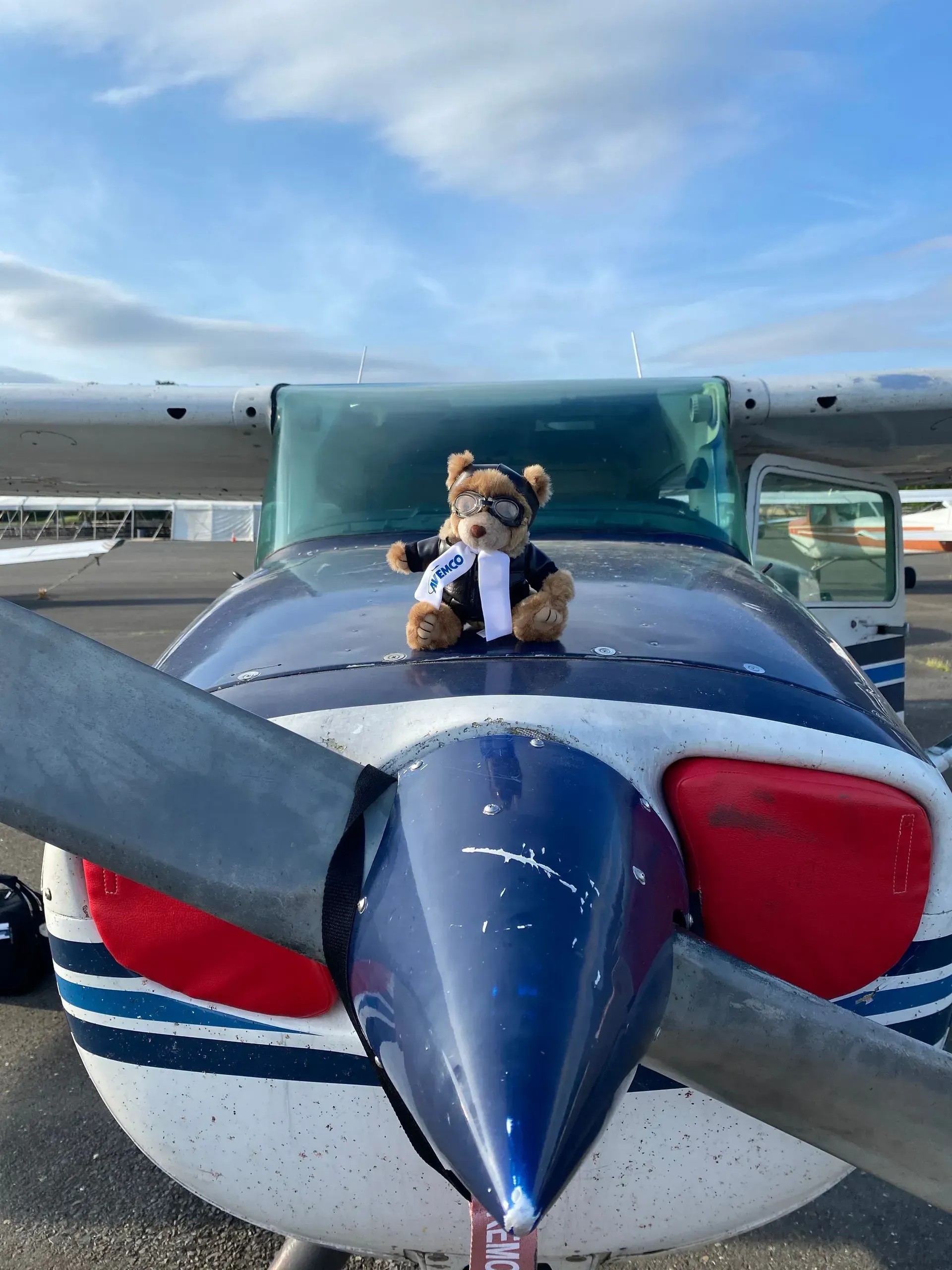 Teddy bear pilot sits atop an airplane's blue nose cone with propeller. Bright sky.