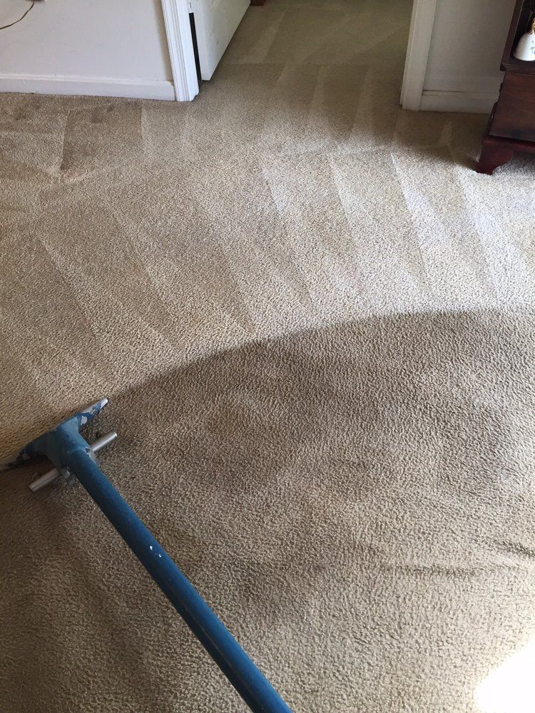 Carpet cleaning