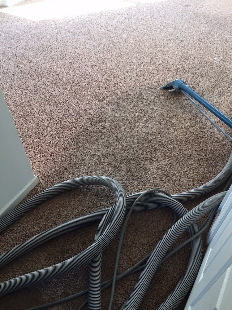 Carpet cleaning