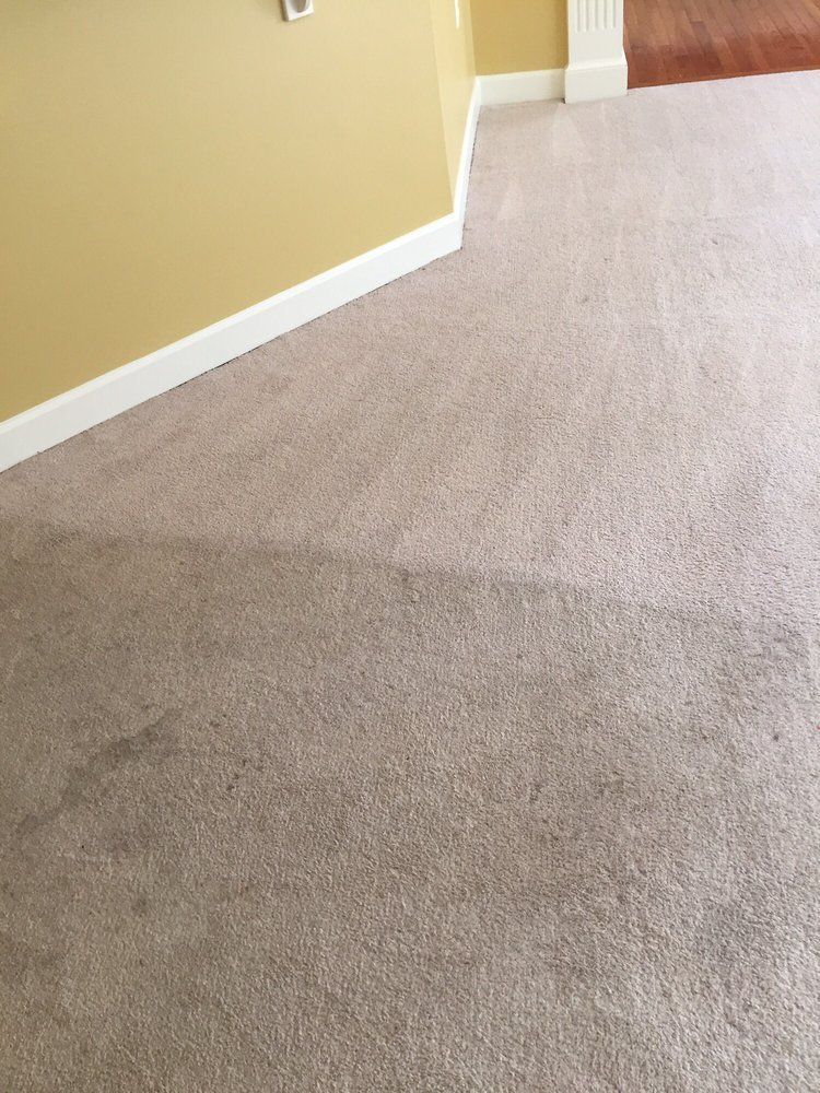 Carpet cleaning