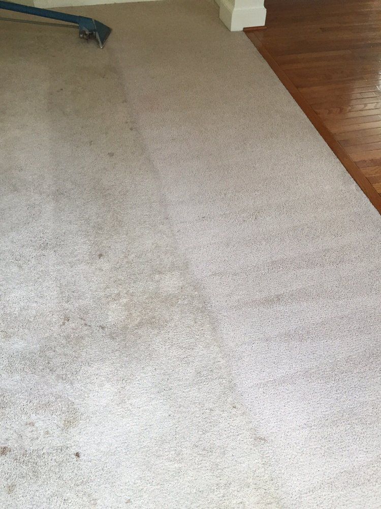 Carpet cleaning