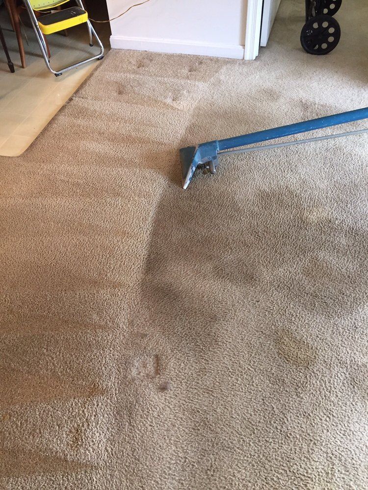 Carpet cleaning